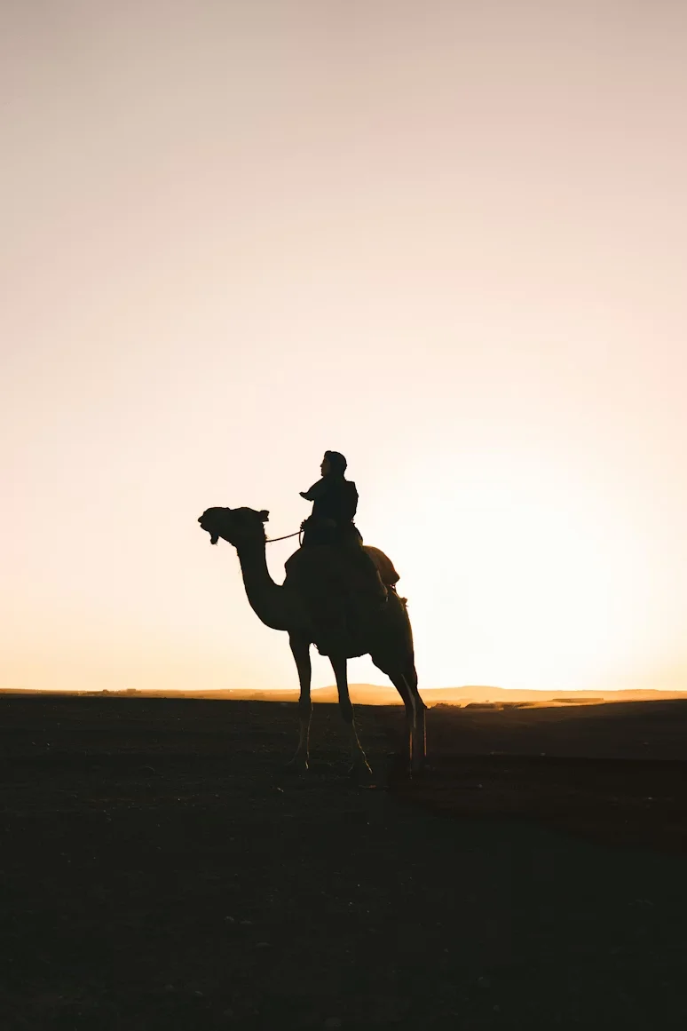 Desert adventures