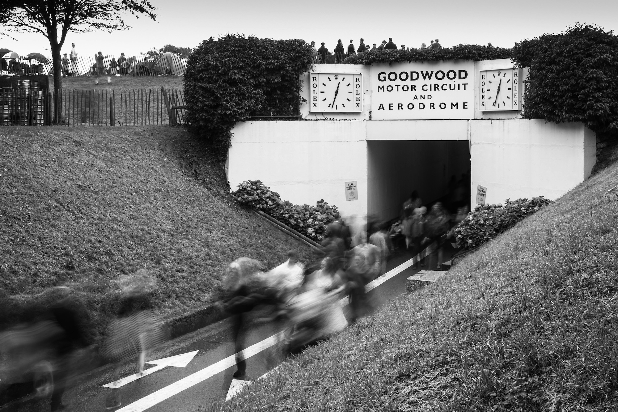 Goodwood estate