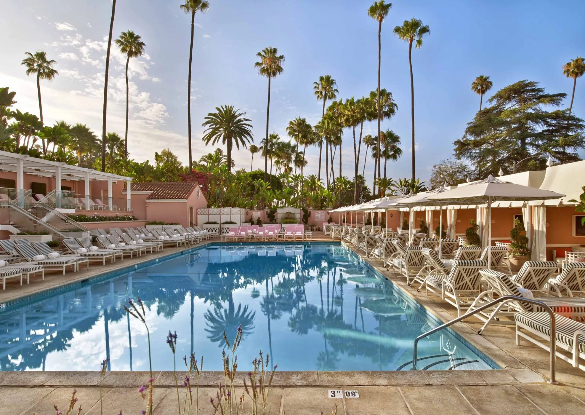 5* hotels